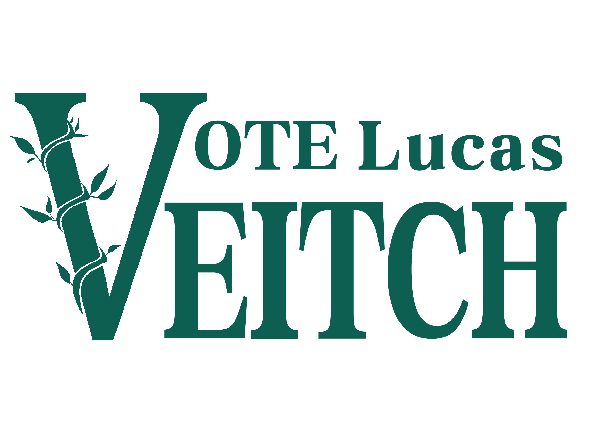 Lucas Veitch for New Hampshire